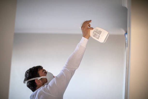 Trusted Argyle, TX Mold Removal Experts