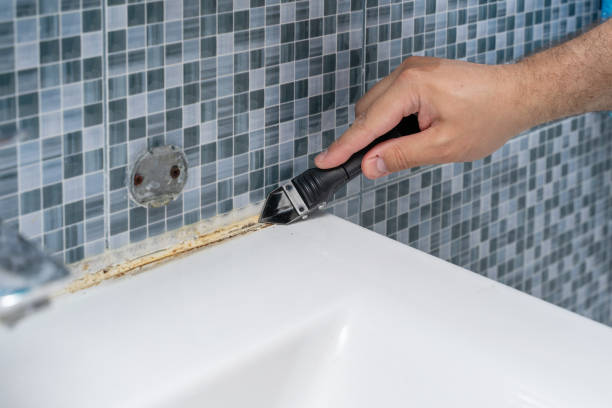 Best Mold Damage Repair  in Argyle, TX