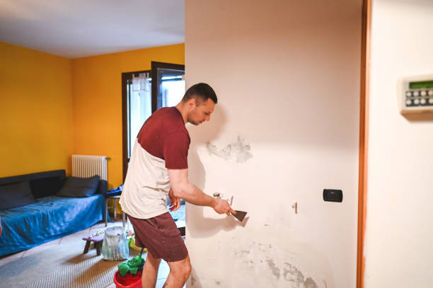 Best Toxic Mold Removal  in Argyle, TX