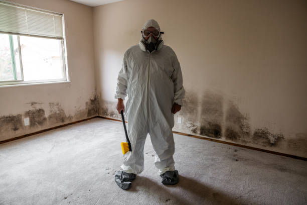 Best Commercial Mold Removal  in Argyle, TX